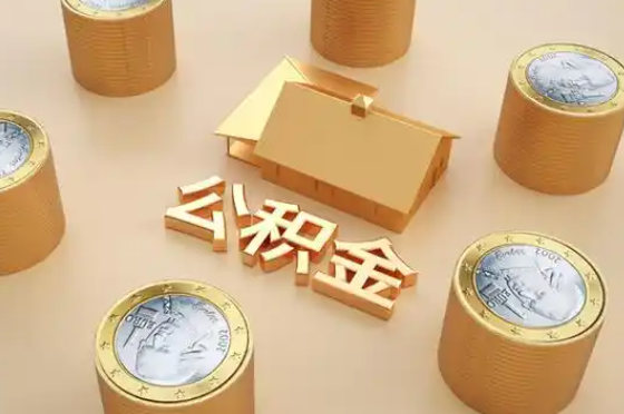  普洱退休公积金代办提取额度是多少？